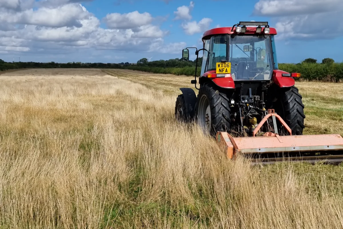 Tractor cutting grass with a flail mower