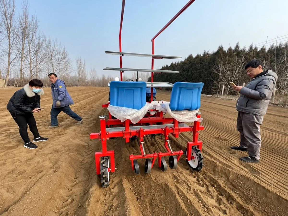 Vegetable transplanter in a prepared field
