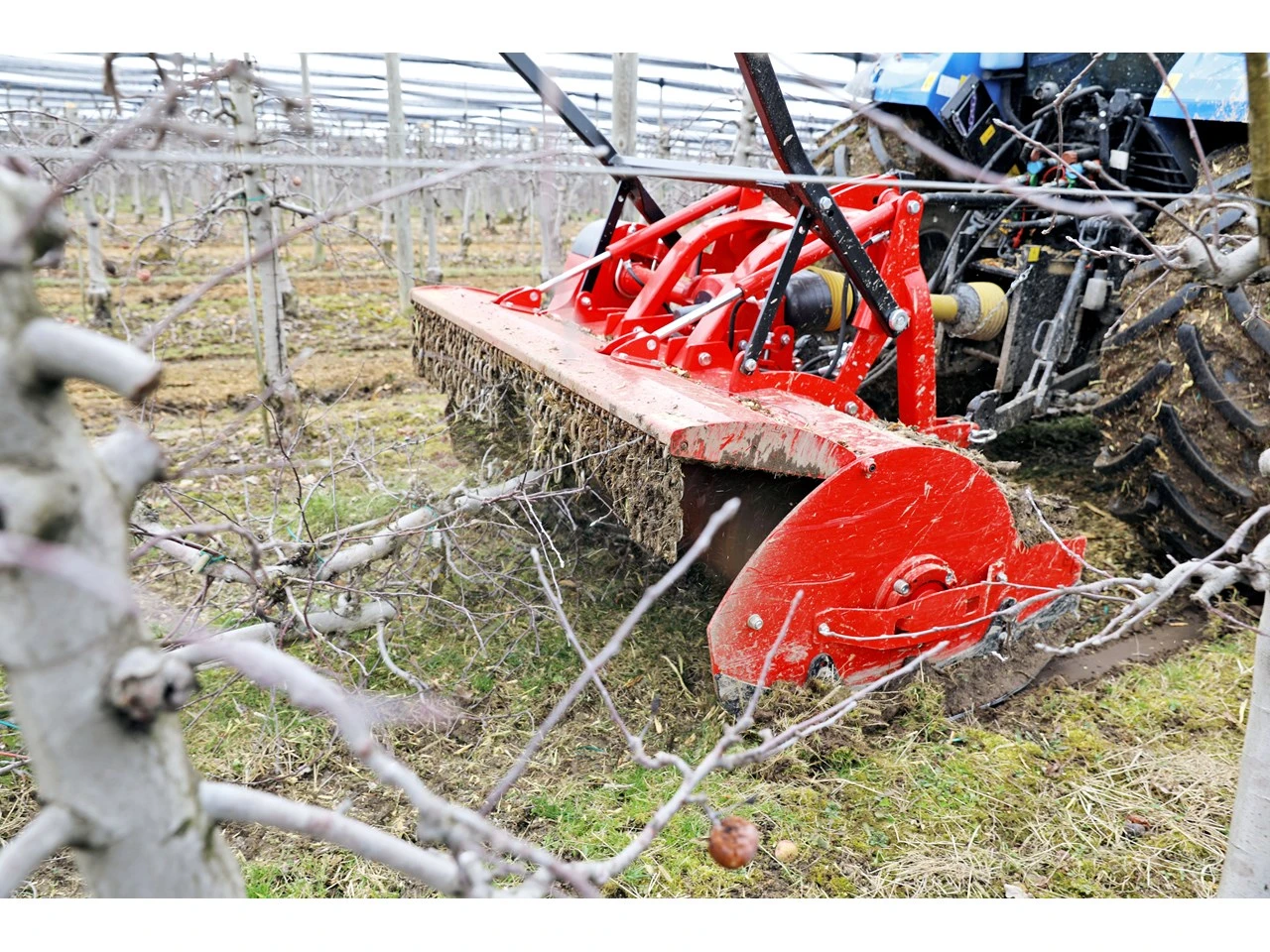 Orchard-floor maintenance with a tractor-mounted mulcher